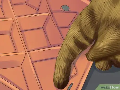 Image titled Help Your Cat Age Well Step 8