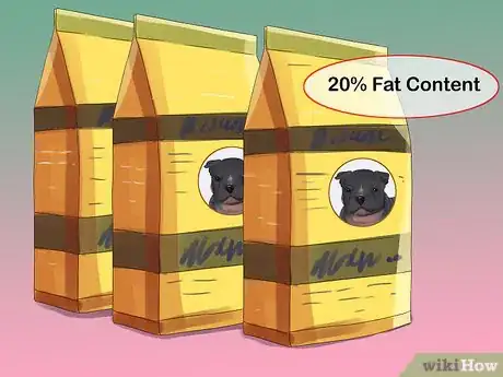 Image titled Feed an American Bully Puppy Step 3