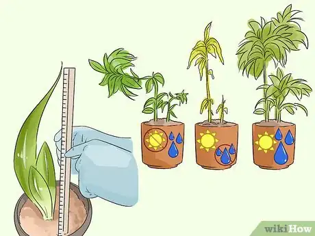 Image titled Think of Fourth Grade Science Project Ideas Step 4