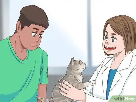 Image titled Deal with Your Cat Pacing at Night Step 1