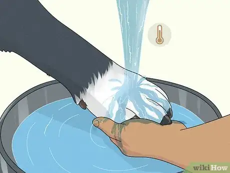 Image titled Treat Lameness in Dogs Step 3
