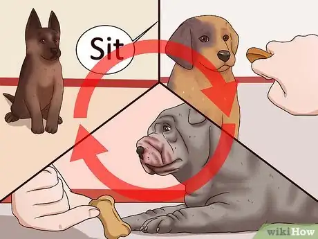 Image titled Teach Your Puppy to Lie Down Step 7