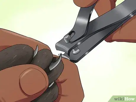 Image titled Prepare Your Cat for a New Baby Step 3