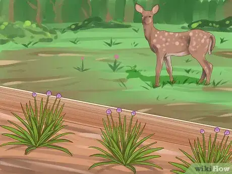 Image titled Grow Chives Step 22