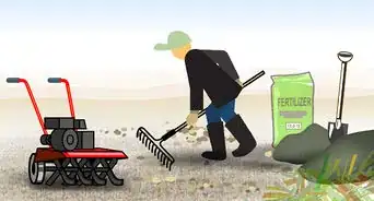 Grow Vegetables in the Southwest (USA)