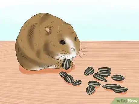 Image titled Make Baby Dwarf Hamster Food Step 8
