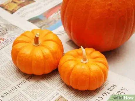 Image titled Paint a Pumpkin Step 1