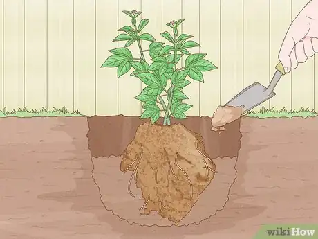 Image titled Transplant Potted Flowers Outdoors Step 6