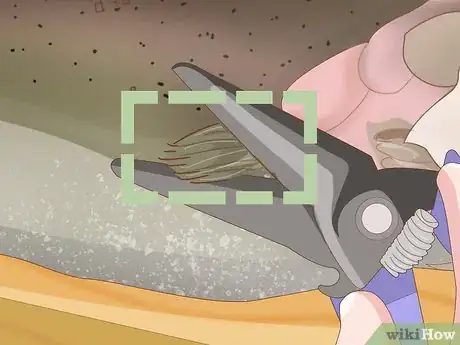 Image titled Prepare Fish Step 11