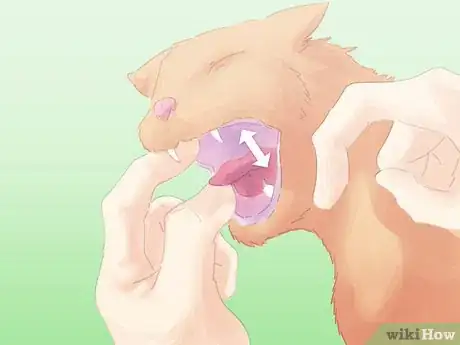 Image titled Save a Choking Cat Step 10