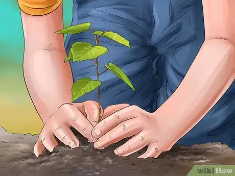 Image titled Honor and Remember a Dog After Death Step 9