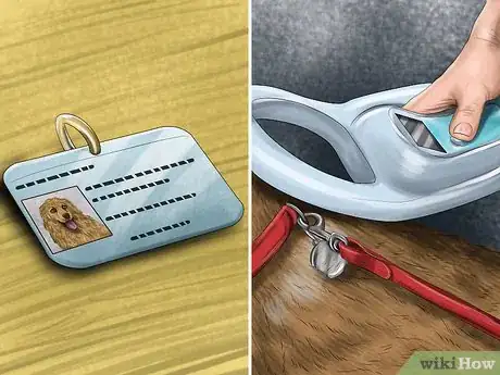 Image titled Walk Your Dog at Night Step 9