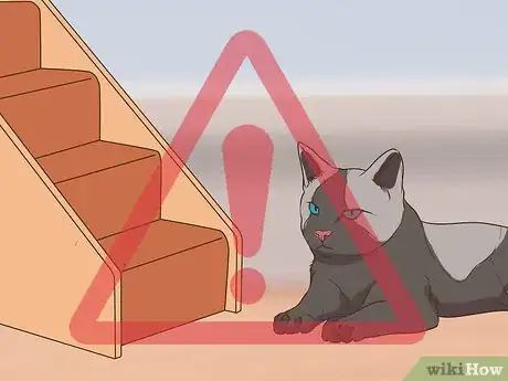 Image titled Watch for Common Senior Cat Health Issues Step 1