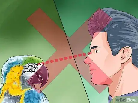 Image titled Recognize Stress in Your Pet Parrot Step 7