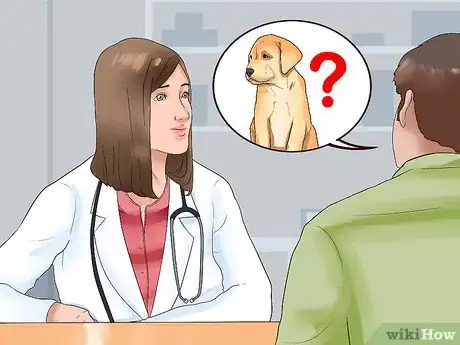 Image titled Find Dogs Needing to Be Rehomed Step 8