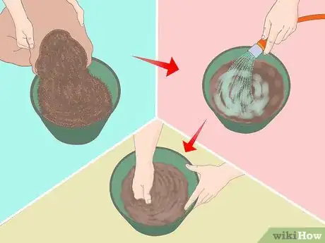 Image titled Plant a Lemon Seed Step 1