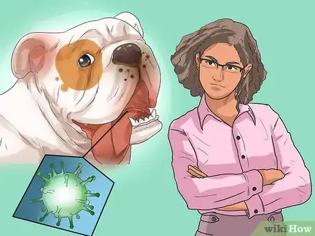 Image titled Prevent Canine Periodontal Disease Step 12