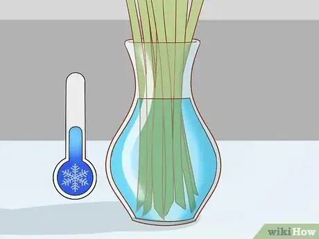 Image titled Prune Kangaroo Paws Step 10