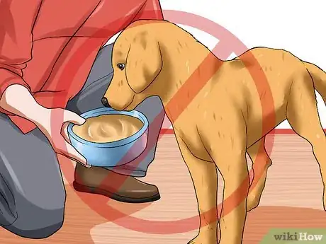 Image titled Prevent Arthritis in Dogs Step 2