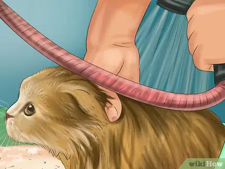 Image titled Prevent Heatstroke in Cats Step 10