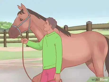 Image titled Handle and Control a Stallion Step 3