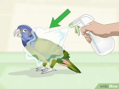 Image titled Keep Pionus Parrots Groomed Step 1