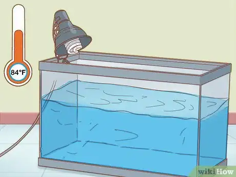 Image titled Care for Triops Step 2