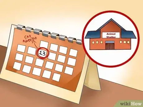 Image titled Adopt an Old Cat Step 7