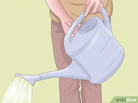 Image titled Grow Rhubarb Step 8