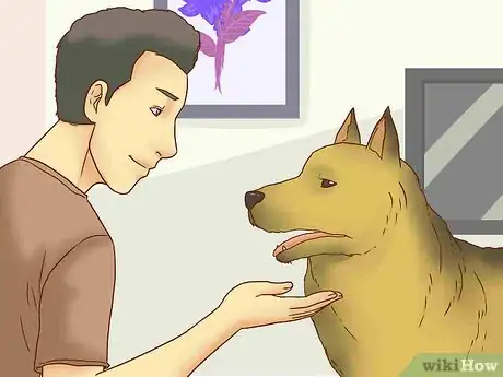 Image titled Adopt a Senior Dog Step 15