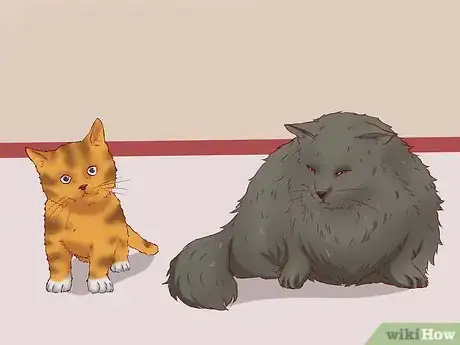 Image titled Get a Cat for a Pet Step 11