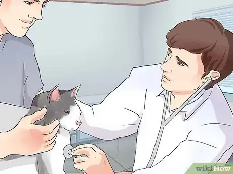 Image titled Prevent Cat Hairballs Step 12