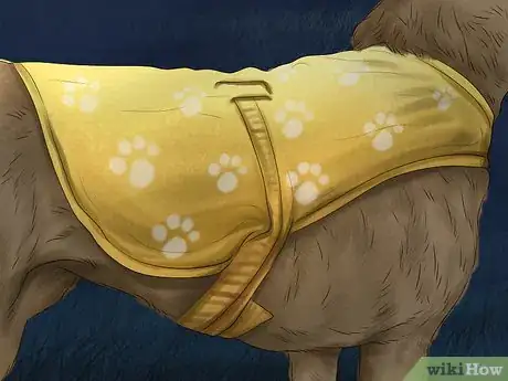 Image titled Walk Your Dog at Night Step 4