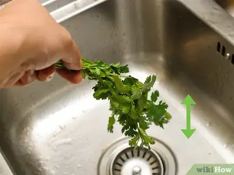 Image titled Freeze Cilantro Step 3