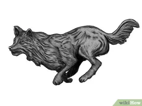 Image titled How to Draw a Running Wolf Intro
