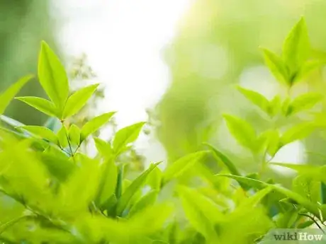 Image titled Help Children Learn Step 7