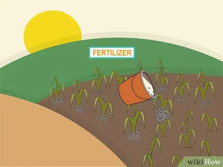 Image titled Plant Napier Grass Step 11