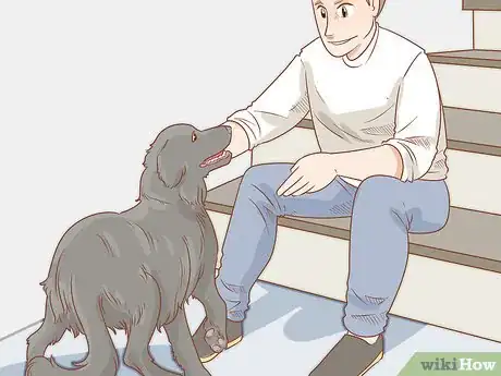 Image titled Help a Dog Overcome Its Fear of Stairs Step 7