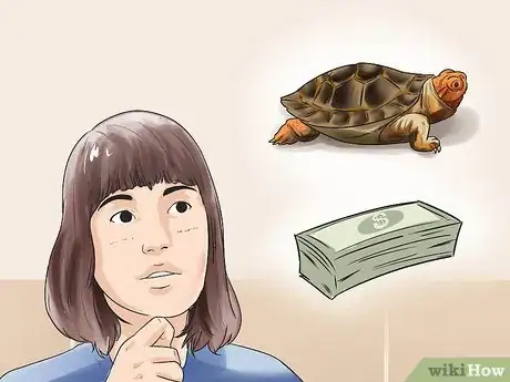 Image titled Buy a Turtle Step 2