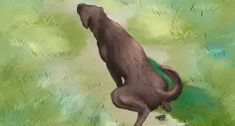 Keep Your Dog Safe on a Boat Ride