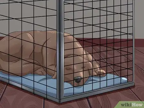 Image titled Tame a Dog Step 5