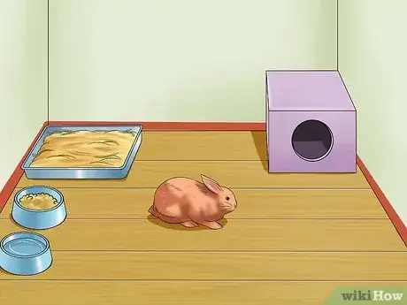 Image titled Care for Thrianta Rabbits Step 6