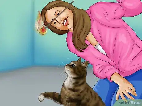 Image titled Identify a Selkirk Rex Step 8