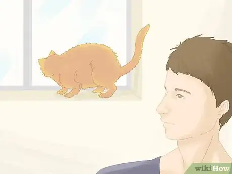 Image titled Handle a Stray Cat Step 3