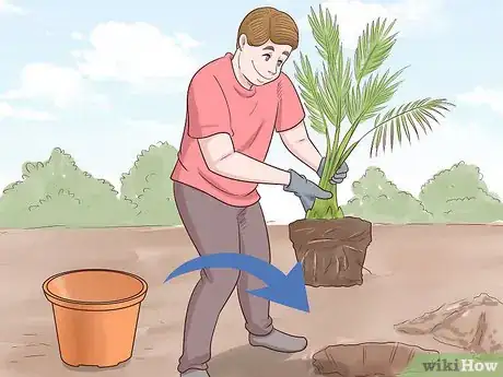 Image titled Plant Date Seeds Step 18