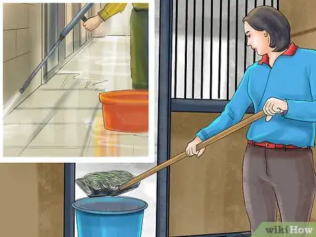 Image titled Prevent Parasites in Horses Step 11