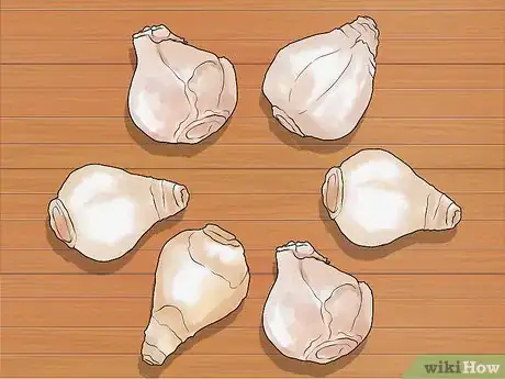 Image titled Plant Bulbs in Grass Step 10