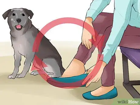 Image titled End Dog Separation Anxiety With Desensitization Step 4