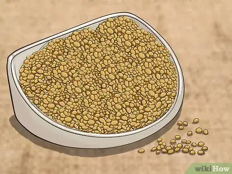 Image titled Boost Salads with Whole Grains Step 1