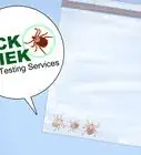 Prevent Tick Bites While Camping